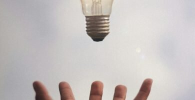 person catching light bulb