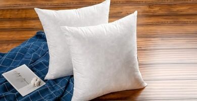 JA COMFORTS Cotton Covered Decorative Feather Pillow Inserts